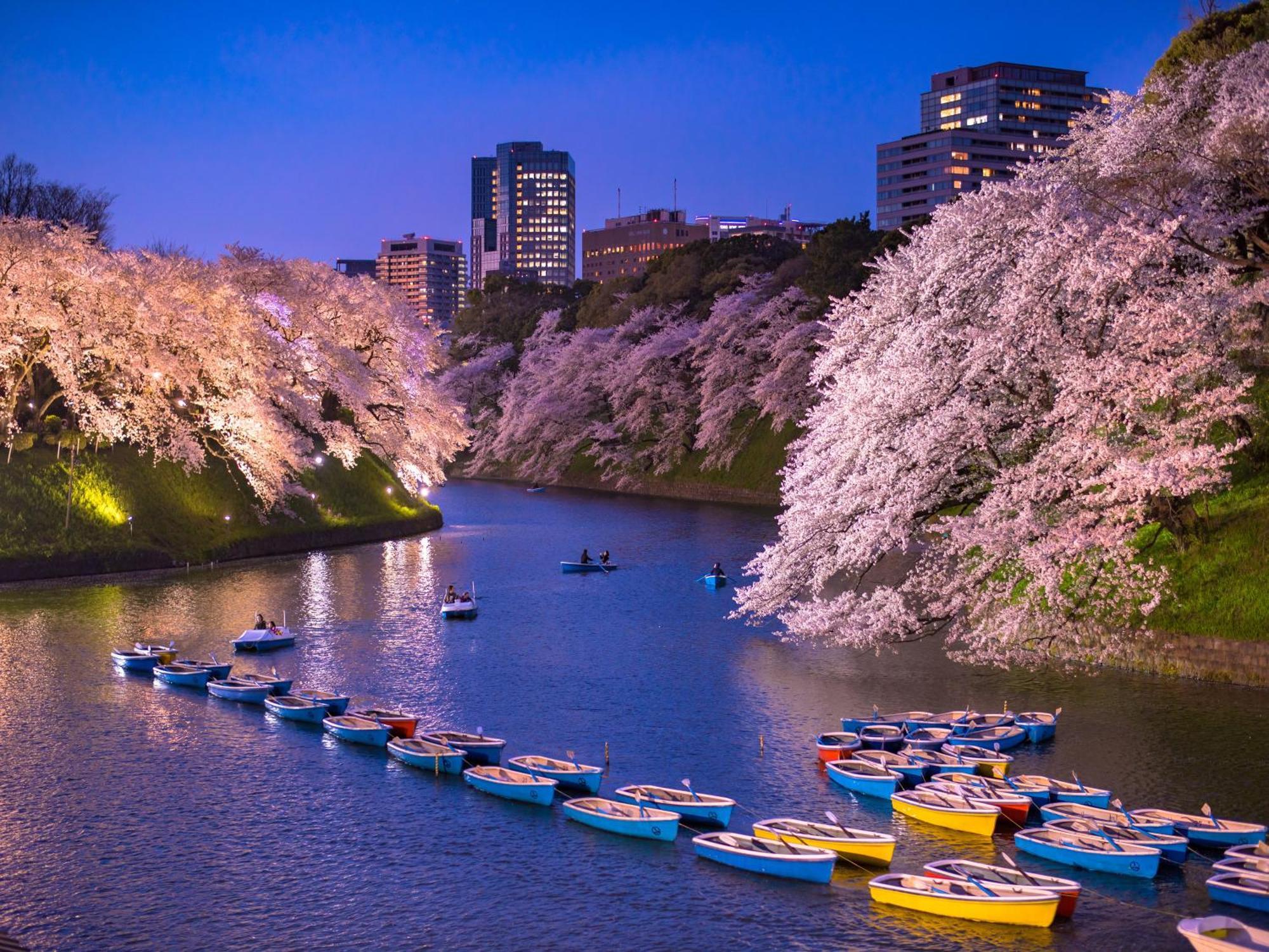 Apa Iidabashi Ekimae Hotel